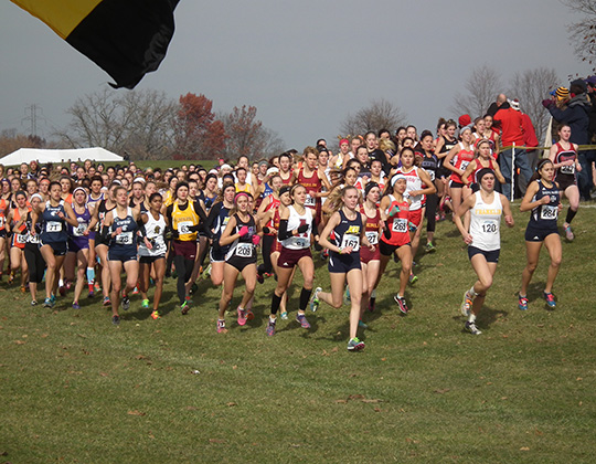 Calvin wins 2014 Great Lakes Cross Country Regionals