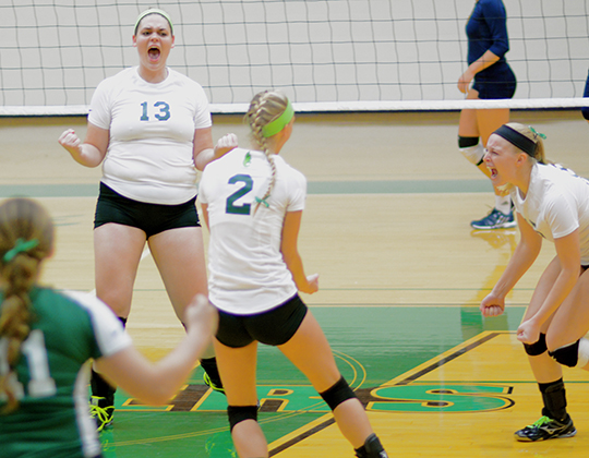 Volleyball falls to Lions in four