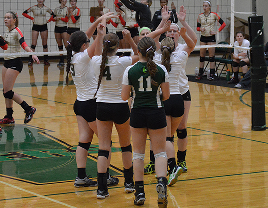 Volleyball falls 3-0 to Otterbein