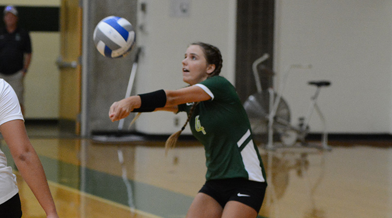 Youth movement serves @DubC_Volleyball well