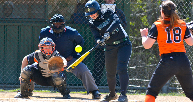 Timely hit eludes @DubC_Softball